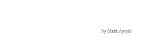 shoe-renew-logo-website.png